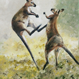 A SCRAP IN THE PADDOCK - SOLD