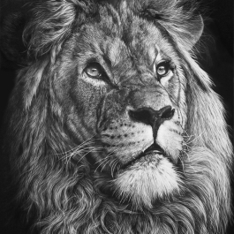 HIS MAJESTY - SOLD